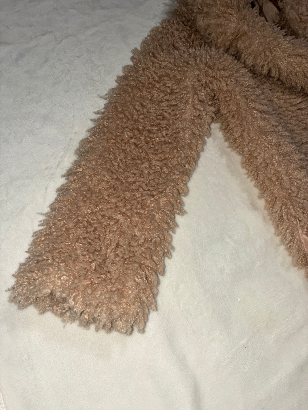 Wild Fable Women’s Plush Teddy Faux Fur Coat in Camel - Picture 4 of 6